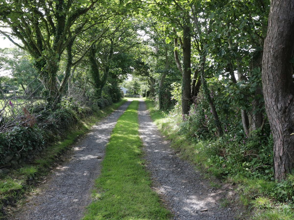 Bodegri Cottage Llanfflewyn Exterior foto